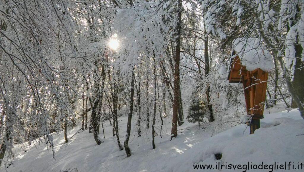 Casa Nella Natura Il Risveglio Degli Elfi Pedavena Exterior photo